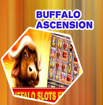 Buffalo slot game