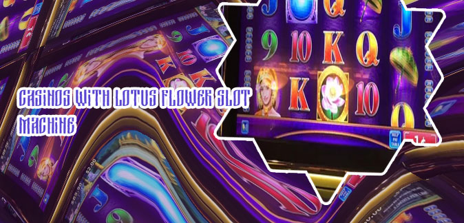 Lotus flower slot machine for sale