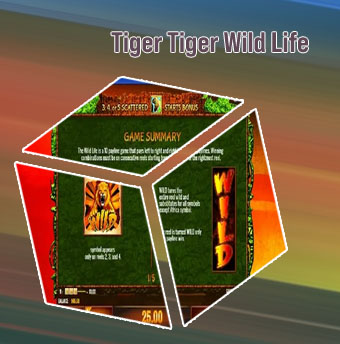 Play wild life slots